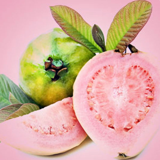 Guava Fragrance Oil