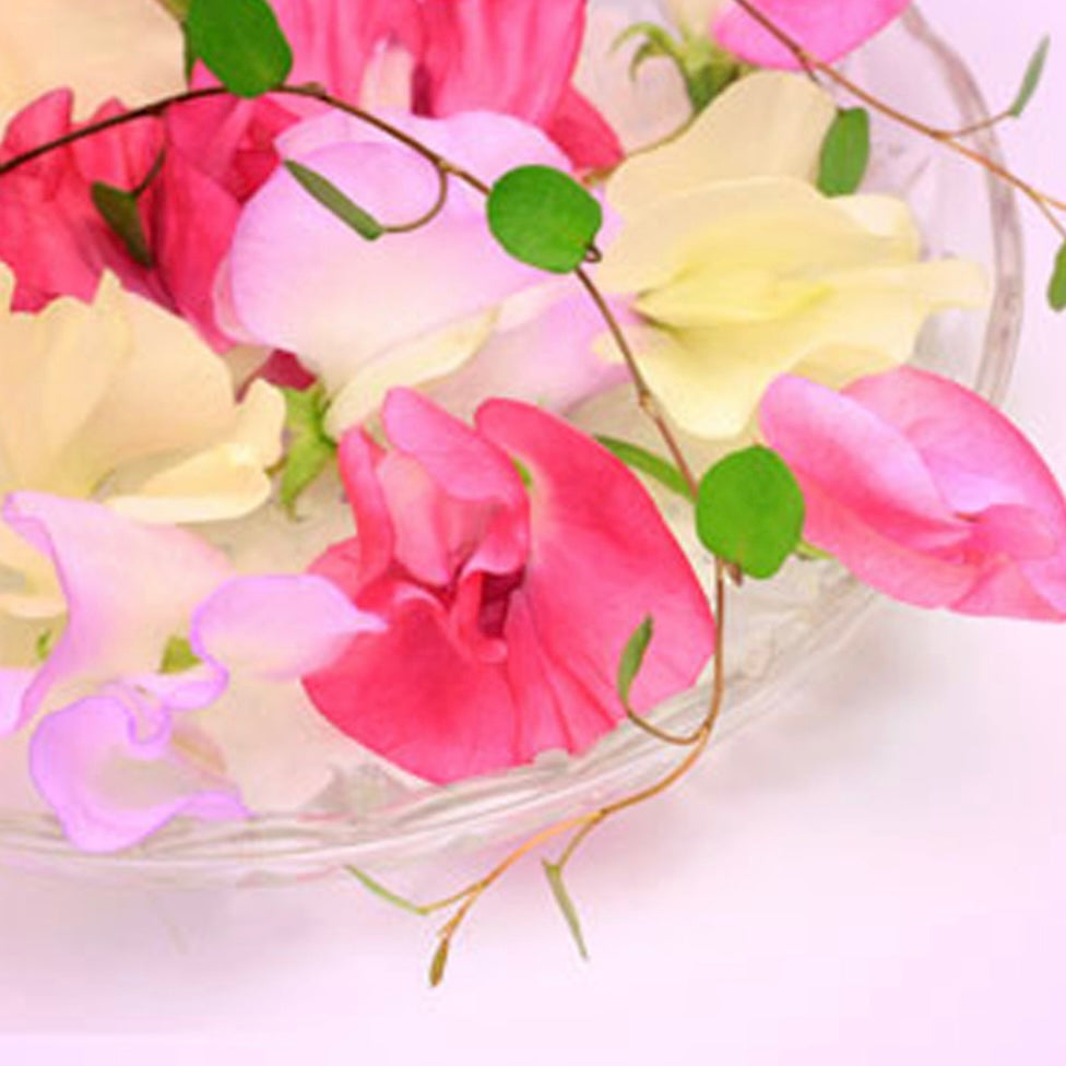 Sweet Pea Fragrance Oil